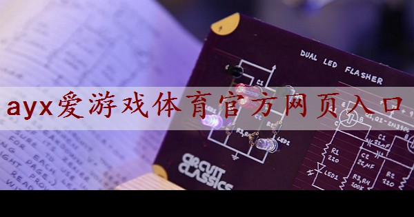 成为电子装配高手！自制电子管功率放大器的视频教程大揭秘！